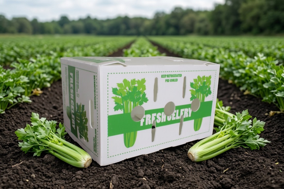 Caja Mely Packaging de apio en campo con manojos frescos